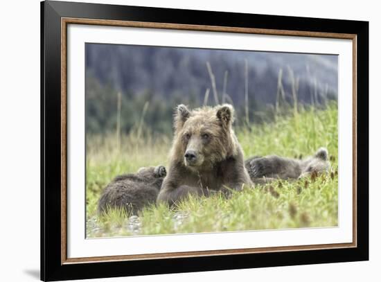 Nap Time-Wink Gaines-Framed Giclee Print