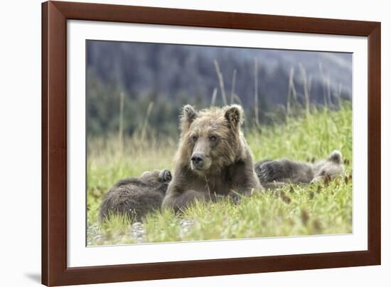 Nap Time-Wink Gaines-Framed Giclee Print