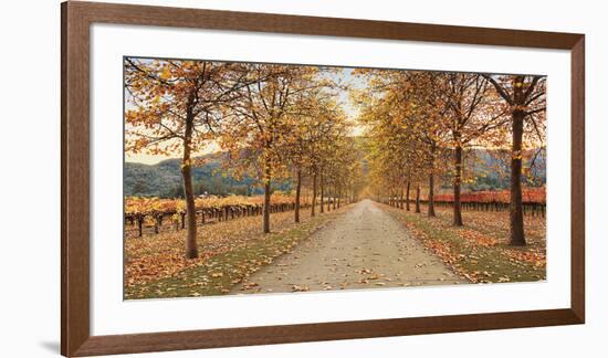 Napa Lane-Lance Kuehne-Framed Giclee Print