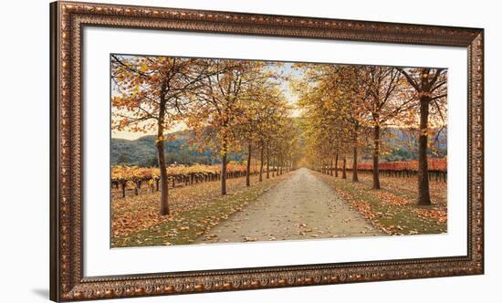 Napa Lane-Lance Kuehne-Framed Giclee Print