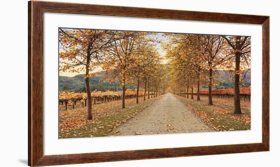 Napa Lane-Lance Kuehne-Framed Giclee Print