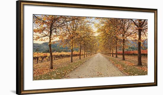 Napa Lane-Lance Kuehne-Framed Giclee Print