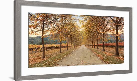 Napa Lane-Lance Kuehne-Framed Giclee Print