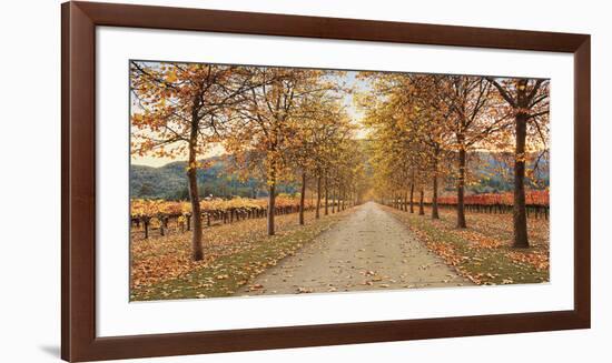 Napa Lane-Lance Kuehne-Framed Giclee Print