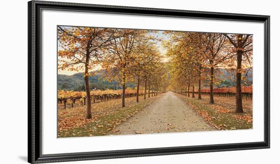 Napa Lane-Lance Kuehne-Framed Giclee Print