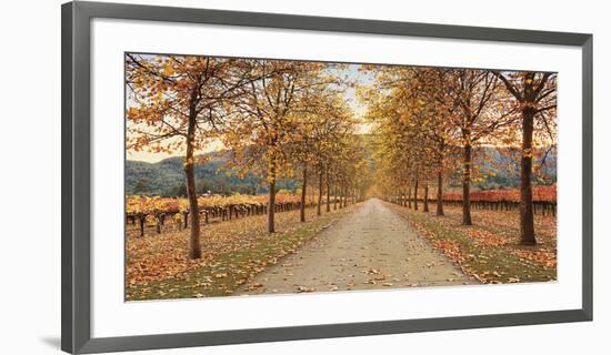 Napa Lane-Lance Kuehne-Framed Giclee Print