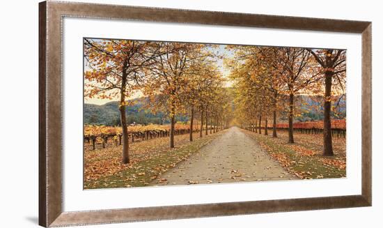 Napa Lane-Lance Kuehne-Framed Giclee Print