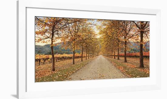 Napa Lane-Lance Kuehne-Framed Giclee Print