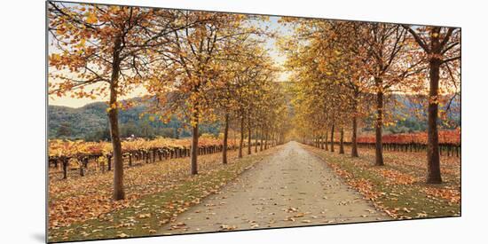 Napa Lane-Lance Kuehne-Mounted Giclee Print