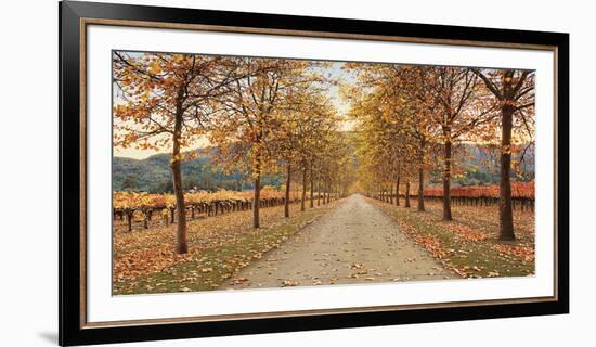 Napa Lane-Lance Kuehne-Framed Giclee Print