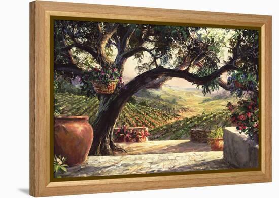 Napa Patio-Art Fronckowiak-Framed Stretched Canvas