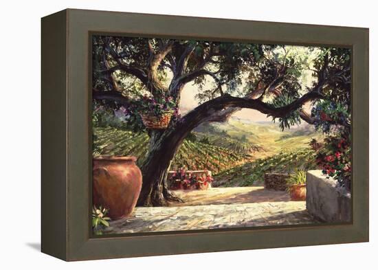 Napa Patio-Art Fronckowiak-Framed Stretched Canvas