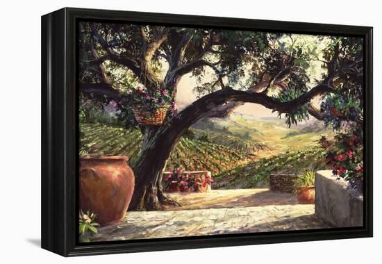 Napa Patio-Art Fronckowiak-Framed Stretched Canvas