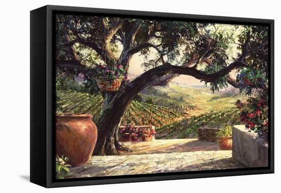 Napa Patio-Art Fronckowiak-Framed Stretched Canvas