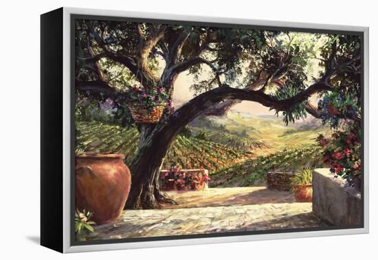 Napa Patio-Art Fronckowiak-Framed Stretched Canvas