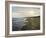 Napa Tree Point Walk-Bruce Dumas-Framed Giclee Print