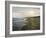 Napa Tree Point Walk-Bruce Dumas-Framed Giclee Print