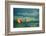 Napa Valley Aloft-Steve Gadomski-Framed Photographic Print