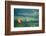 Napa Valley Aloft-Steve Gadomski-Framed Photographic Print