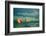 Napa Valley Aloft-Steve Gadomski-Framed Photographic Print