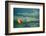 Napa Valley Aloft-Steve Gadomski-Framed Photographic Print