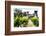 Napa Valley Dream Castle-George Oze-Framed Photographic Print