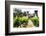 Napa Valley Dream Castle-George Oze-Framed Photographic Print