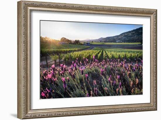 Napa Valley Spring Afternoon-George Oze-Framed Photographic Print