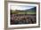 Napa Valley Spring Afternoon-George Oze-Framed Photographic Print