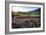 Napa Valley Spring Afternoon-George Oze-Framed Photographic Print