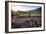 Napa Valley Spring Afternoon-George Oze-Framed Photographic Print