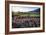 Napa Valley Spring Afternoon-George Oze-Framed Photographic Print