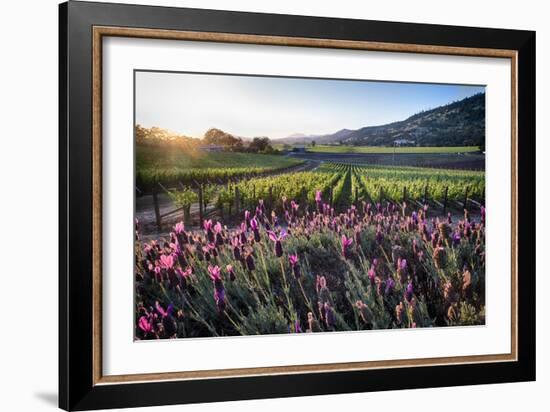 Napa Valley Spring Afternoon-George Oze-Framed Photographic Print