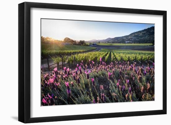 Napa Valley Spring Afternoon-George Oze-Framed Photographic Print