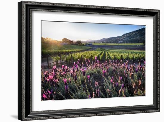 Napa Valley Spring Afternoon-George Oze-Framed Photographic Print