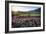 Napa Valley Spring Afternoon-George Oze-Framed Photographic Print