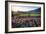 Napa Valley Spring Afternoon-George Oze-Framed Photographic Print