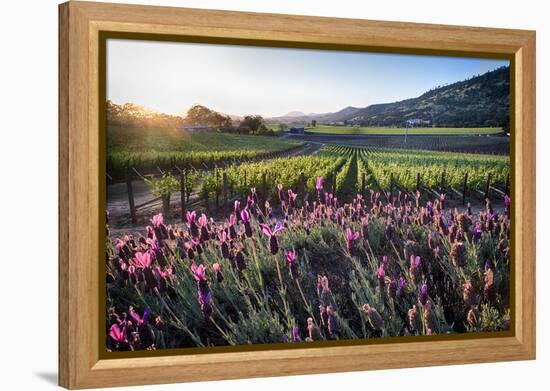 Napa Valley Spring Afternoon-George Oze-Framed Premier Image Canvas