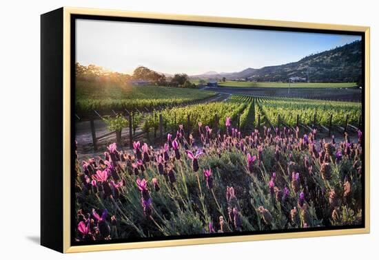 Napa Valley Spring Afternoon-George Oze-Framed Premier Image Canvas