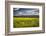 Napa Valley Spring Meadow, California-George Oze-Framed Photographic Print