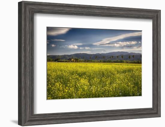 Napa Valley Spring Meadow, California-George Oze-Framed Photographic Print