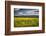 Napa Valley Spring Meadow, California-George Oze-Framed Photographic Print