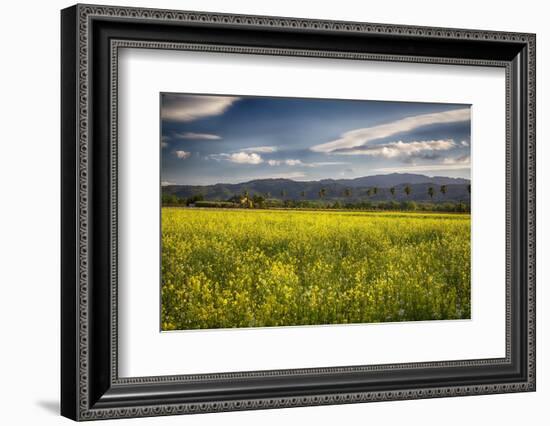 Napa Valley Spring Meadow, California-George Oze-Framed Photographic Print