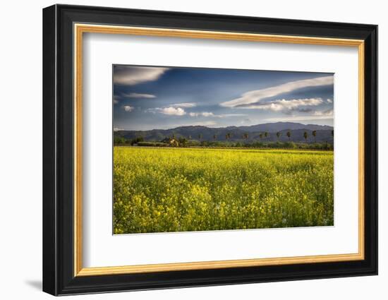 Napa Valley Spring Meadow, California-George Oze-Framed Photographic Print