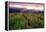 Napa Valley Sunset, Oakville, California-George Oze-Framed Premier Image Canvas