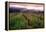 Napa Valley Sunset, Oakville, California-George Oze-Framed Premier Image Canvas