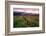 Napa Valley Sunset, Oakville, California-George Oze-Framed Photographic Print