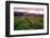 Napa Valley Sunset, Oakville, California-George Oze-Framed Photographic Print