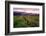 Napa Valley Sunset, Oakville, California-George Oze-Framed Photographic Print