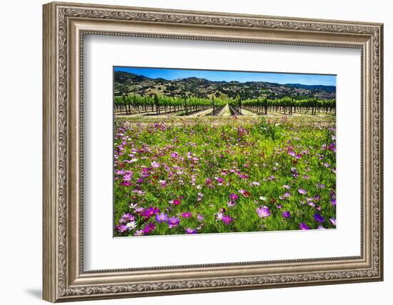 Napa Valley Wildflowers And Grapevines-George Oze-Framed Photographic Print